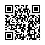 QR CODE 21