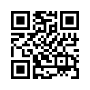 QR CODE 53
