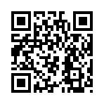 QR CODE 89