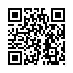 QR CODE 96