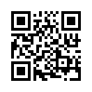 QR CODE 1337