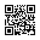 QR CODE 1381
