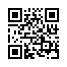 QR CODE 1384