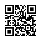 QR CODE 31