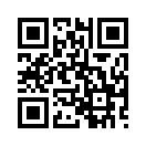 QR CODE 316