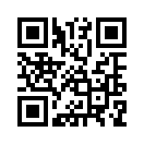 QR CODE 317