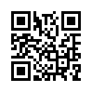 QR CODE 329