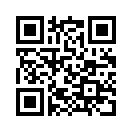 QR CODE 133