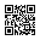 QR CODE 110