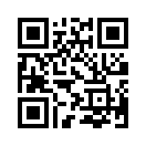 QR CODE 88