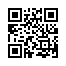 QR CODE 91