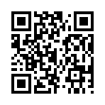 QR CODE 538