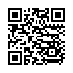 QR CODE 737