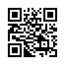 QR CODE 133