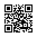 QR CODE 228