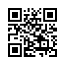 QR CODE 256