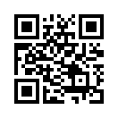 QR CODE 316