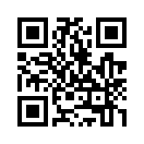 QR CODE 42