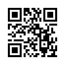 QR CODE 110
