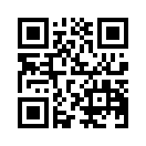 QR CODE 131