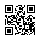 QR CODE 132