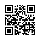QR CODE 133