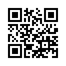QR CODE 21