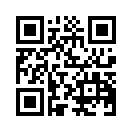 QR CODE 237