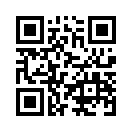 QR CODE 305