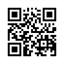 QR CODE 309