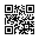QR CODE 31