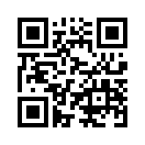 QR CODE 316
