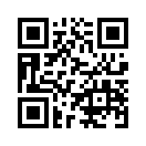 QR CODE 329