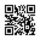 QR CODE 33