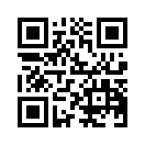 QR CODE 334