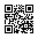 QR CODE 336
