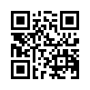QR CODE 384