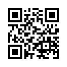 QR CODE 394