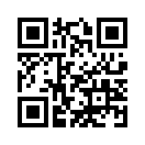 QR CODE 42