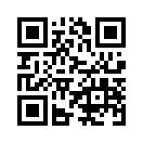 QR CODE 461