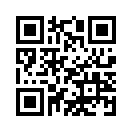 QR CODE 52