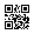 QR CODE 21