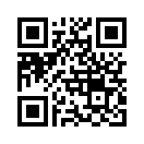 QR CODE 31
