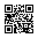 QR CODE 110