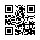 QR CODE 317