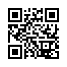 QR CODE 529