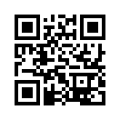 QR CODE 734