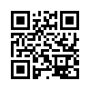 QR CODE 856