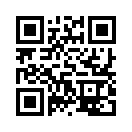QR CODE 868