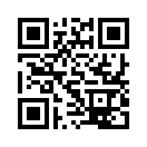 QR CODE 913